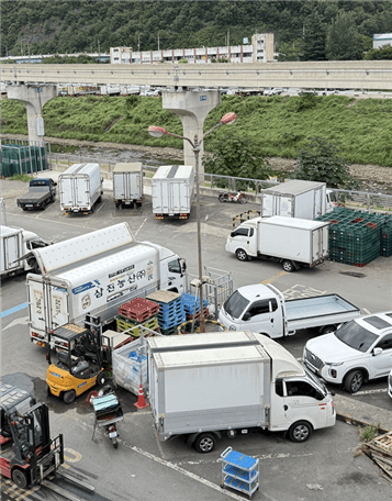 kloxo3td4v1jooihfkemo9r520260108